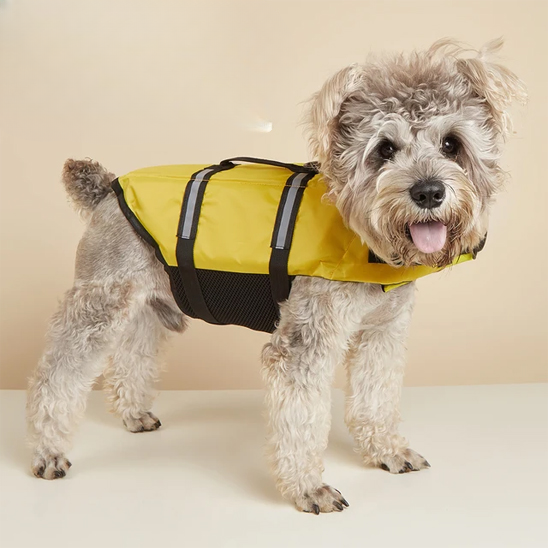 gilet-de-sauvetage-chien-securite-york