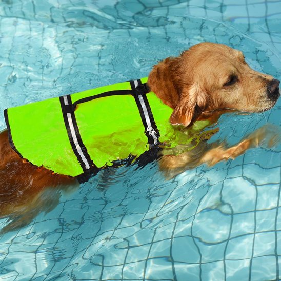 Gilet de sauvetage Chien vert réfléchissant avec mousse haute densité