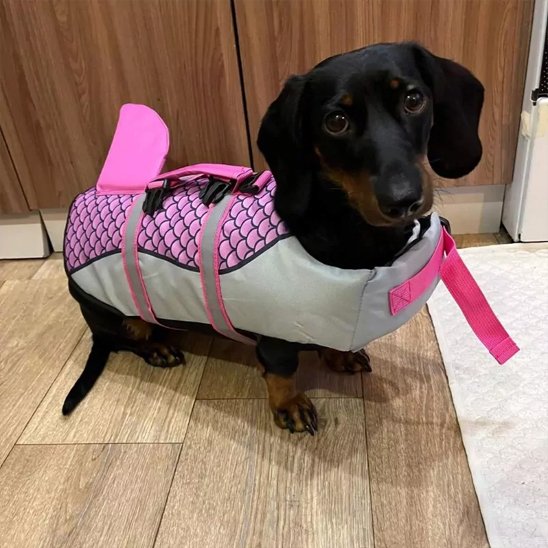 Gilet de sauvetage chiens rose design avec aileron