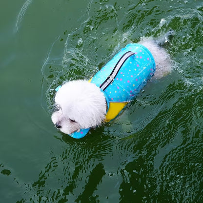 gilet de sauvetage petit chien aquapet bleu bichon nage