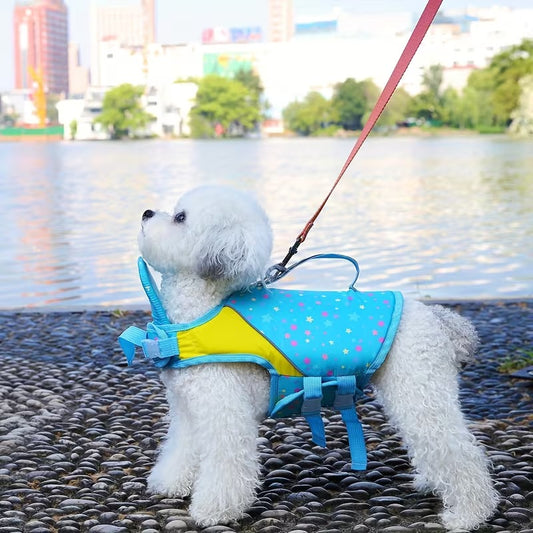 gilet de sauvetage petit chien aquapet bleu bichon promenade
