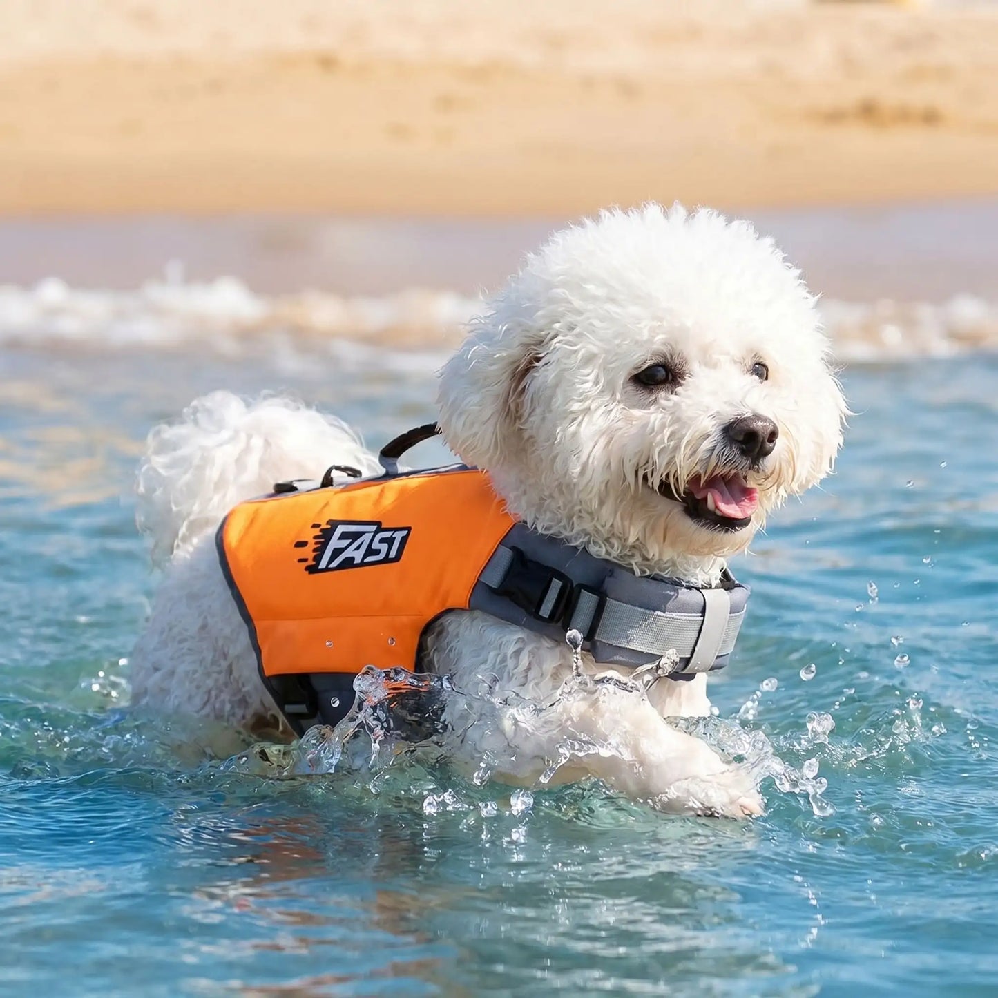 gilet de sauvetage petit chien fastpattes orange bichon mer