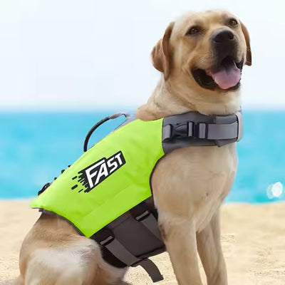 gilet de sauvetage petit chien fastpattes vet labrador mer
