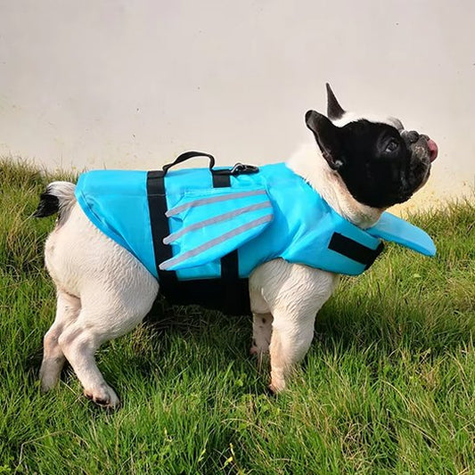 Gilet de sauvetage pour chien bleu design ludique securité optimale