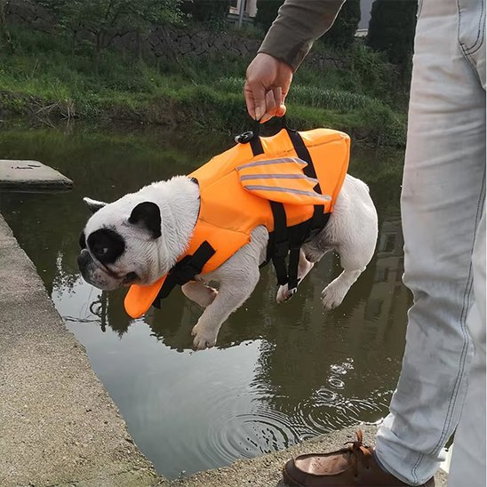 Gilet de sauvetage pour chien orange design ludique