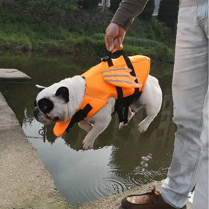 Gilet de sauvetage pour chien orange design ludique