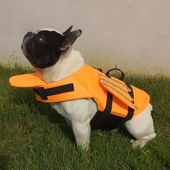 Gilet de sauvetage pour chien orange flottabilité maximale