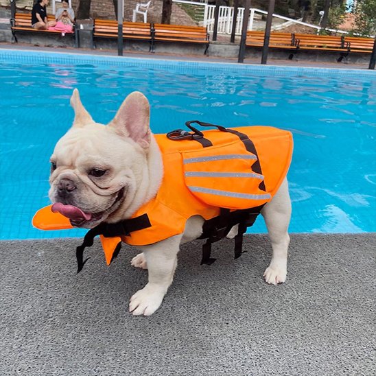 Gilet de sauvetage pour chien orange sur bulldog design ludique