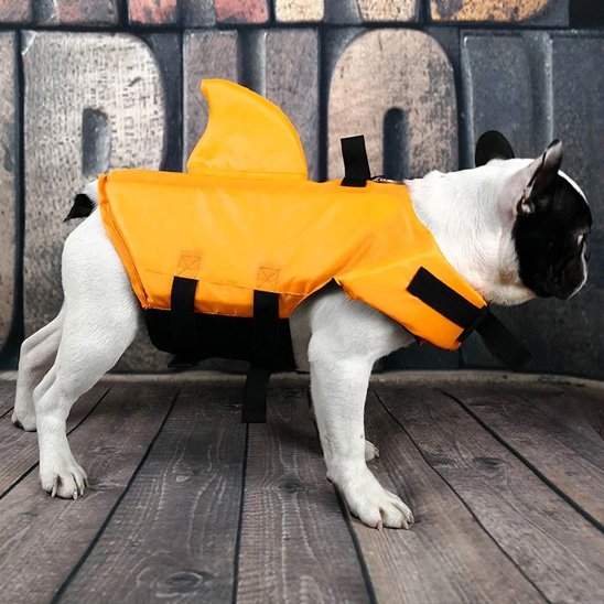 Gilet de sauvetage pour chiens jaune design ludique 