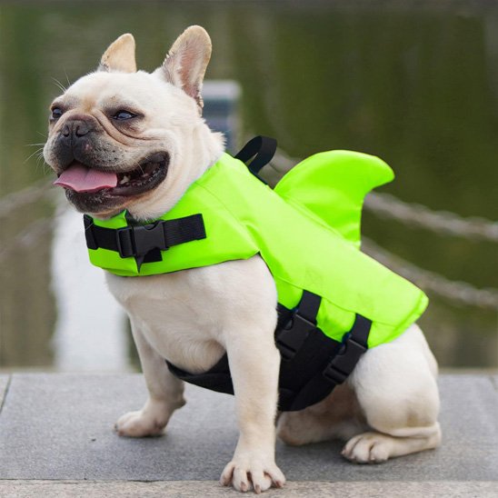 Gilet de sauvetage pour chiens vert design ludique