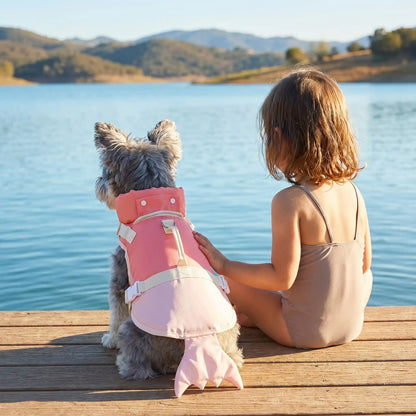 gilet de sauvetage pour petit chien aquapup lac baignade