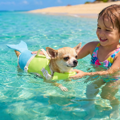 gilet de sauvetage pour petit chien aquapup vacances mer