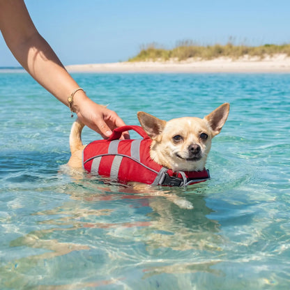 gilet de sauvetage pour petit chien rouge flottpet chiwawa