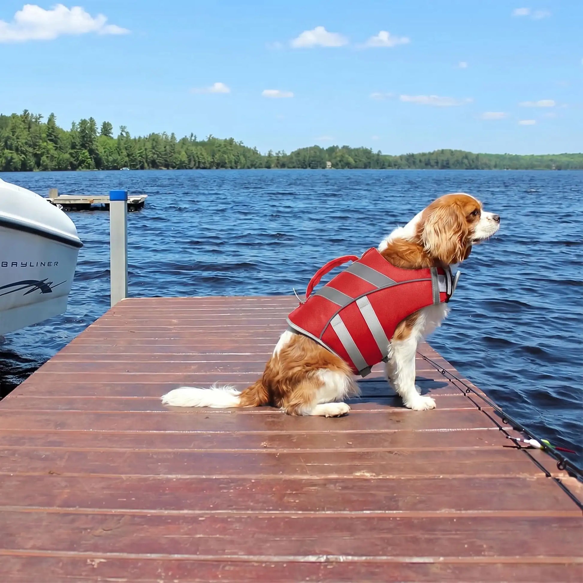 gilet de sauvetage pour petit chien rouge flottpet ergonomique
