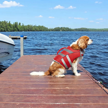gilet de sauvetage pour petit chien rouge flottpet ergonomique