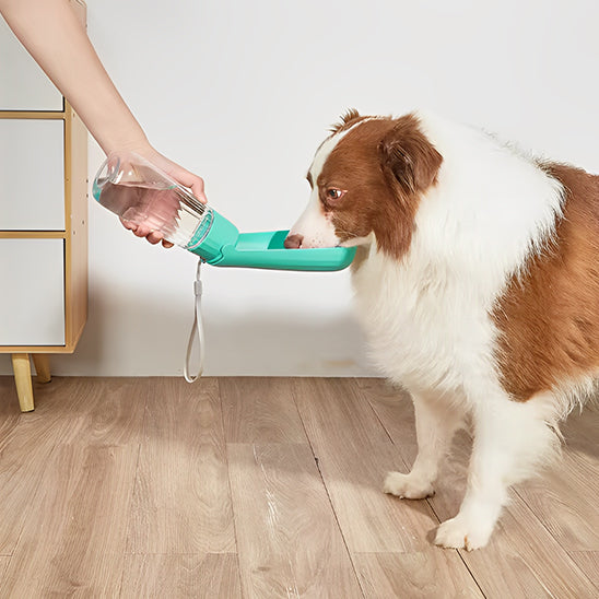 gourde-chien-bleue-pliable-pratique-purewater