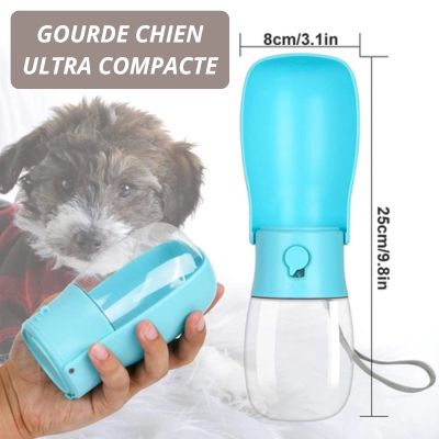 gourde-chien-compacte