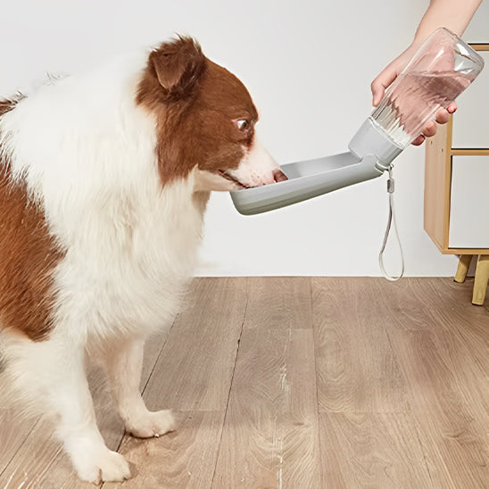 gourde-chien-grise-pliable-purewater