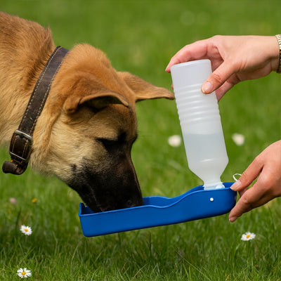 gourde-chien-sante-energie-promenade-gros-volume-hydrasecur