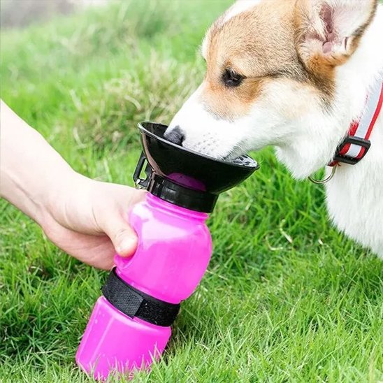 Gourde eau chien rose 500 ml
