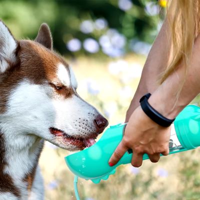 gourde-pour-chien-bleue