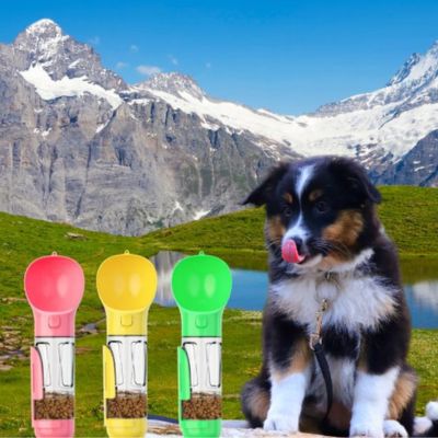 gourde-pour-chien-couleurs