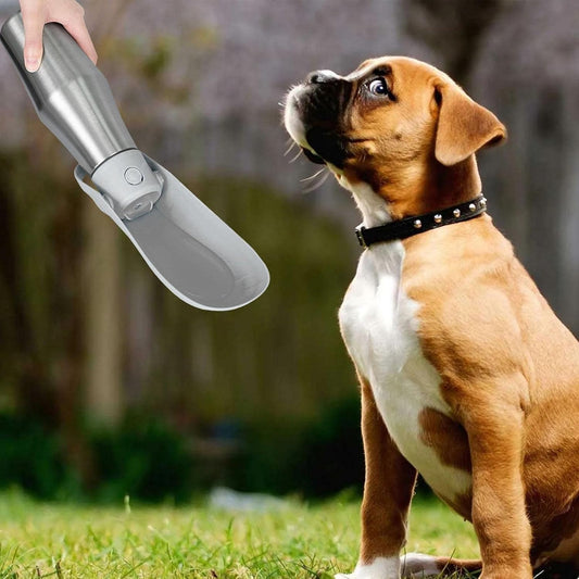 gourde-pour-chien-gris-eau-fraiche-matiere-inox-luxfreshdog