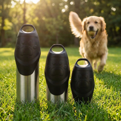 gourde pour chien inoxwater design