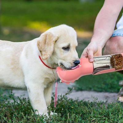 gourde-pour-chien-rose