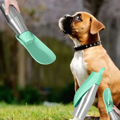 gourde-pour-chien-verte-inox