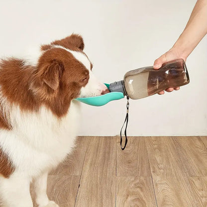 Gourde pour chiens | Hydraclean™