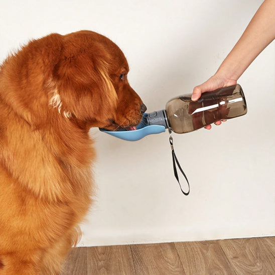 Gourde pour chiens | Hydraclean™
