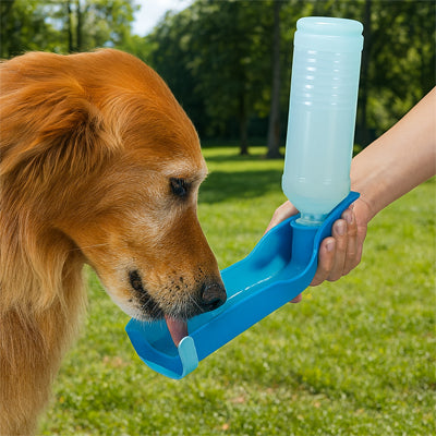gourde-pour-chiens-bleue-anti-fuites-ergonomique-hydrasecur
