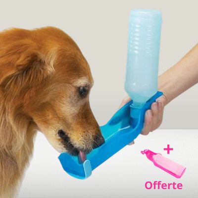 gourde-pour-chiens-bleue