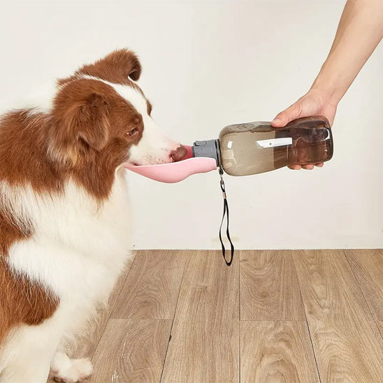 Gourde pour chiens | Hydraclean™