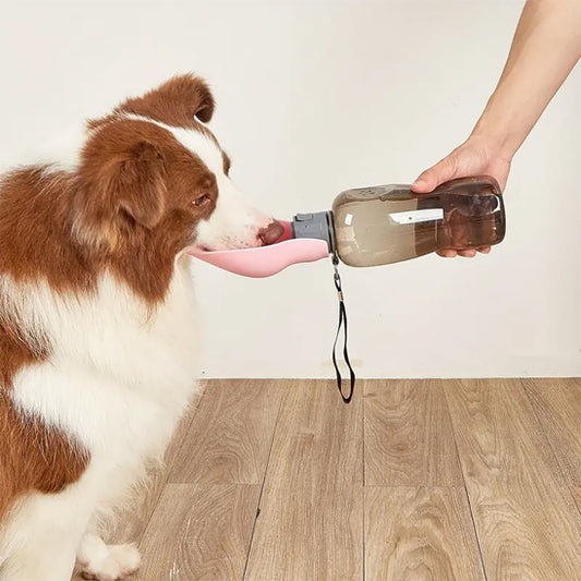 Gourde pour chiens | Hydraclean™