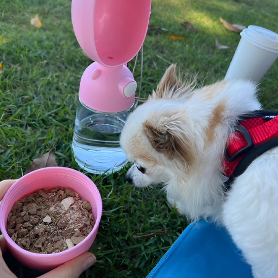 Gourde pour chiens rose foncé et bol à croquettes intégré