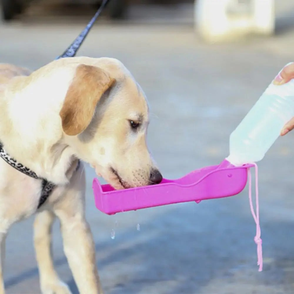 gourde-pour-chiens-rose