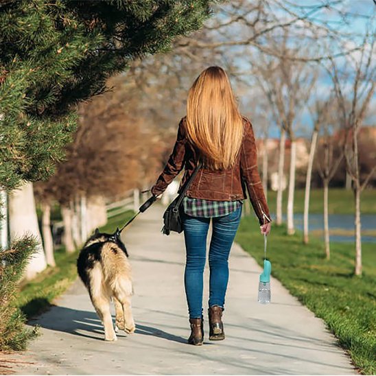 Gourdes pour chien​  2 en 1 bleu format compacte léger