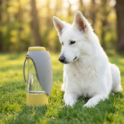 gourdes pour chien HydroPaw grise berger suisse