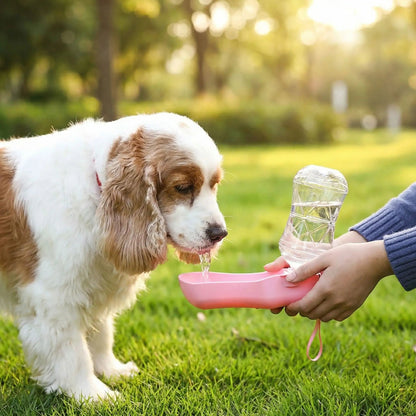 gourdes pour chien toutoufresh chien qui boit