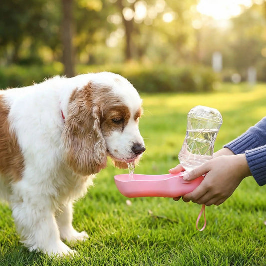 gourdes pour chien toutoufresh chien qui boit