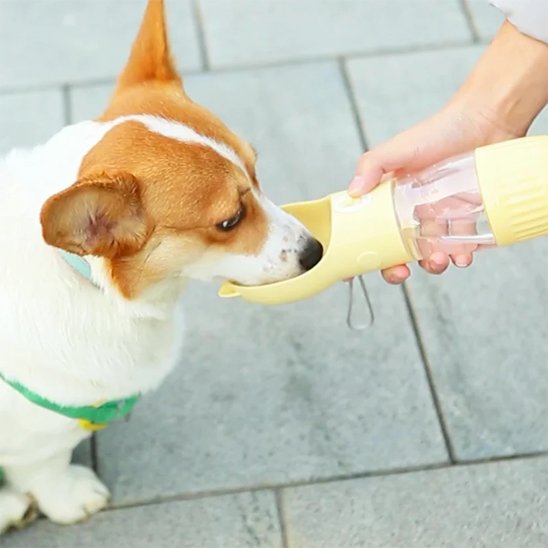 Gourdes pour chiens deux en un jaune design chat robuste