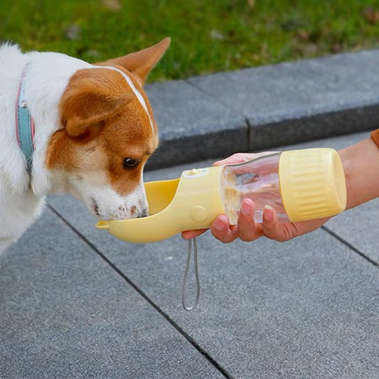 Gourdes pour chiens deux en un jaune pastel design chat