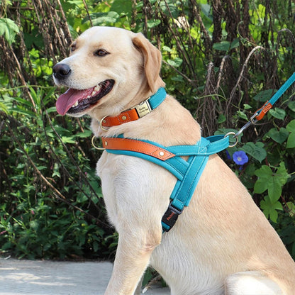 harnais-anti-traction-bleu-ciel-labrador-laisse-assortie-easymoov