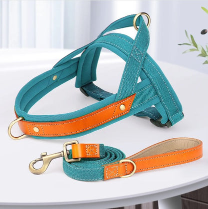 harnais-anti-traction-bleu-design-doublure-cuir-easymoov