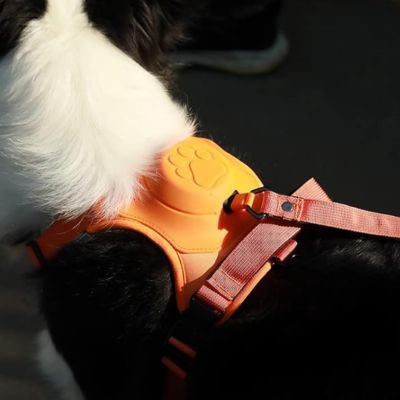 harnais-anti-traction-chien-couleur-orange-rowharness