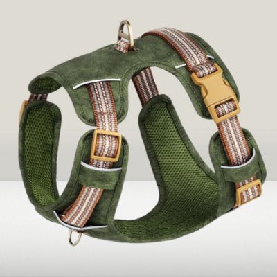 harnais-anti-traction-chien-reflechissant-vert
