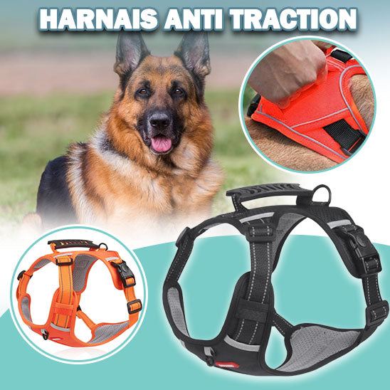 harnais-anti-traction-ensemble-secur-moov