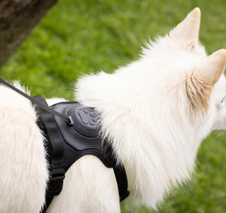 harnais-anti-traction-innovant-RowlHarness